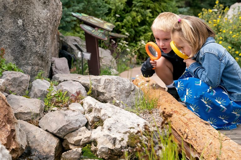 Discover the Splendor of Betty Ford Alpine Gardens in Vail, Colorado :Vail Transportation Betty Ford Alpine Gardens