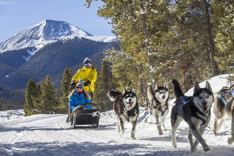 Dog Sledding in Breckenridge