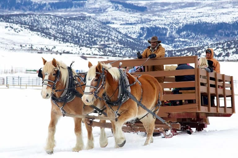 Sleigh Rides in Vail, Colorado — A Winter-Wonderland Experience You’ll Never Forget :Vail Transportation Sleigh Rides in Vail, Colorado